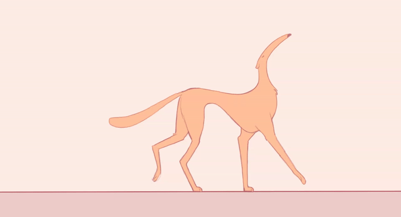 Animation Exercice with a Borzoi made on TV PAINT